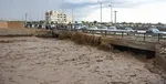 انتقال کمک‌های انسان دوستانه از پاریس برای سیل زدگان