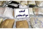 آغاز جمع‌آوری ۵ گروه کالایی قاچاق از بازار