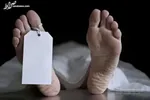 قاتل اجاره‌ای دستگیر شد