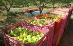 آْغاز جلسه علنی امروز مجلس/ بررسی وضعیت صنعت استخراج رمزارزها