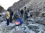 مرگ فجیع قو‌ها در فریدونکنار