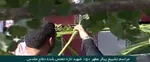 تصاویر/ بر مزار شهدای هفتم‌تیر