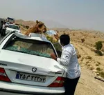 رئیس پلیس راهور فراجا  : مرگ ۲۸ تن و مصدومیت ۱۸۴ تن از زائران اربعین در تصادفات رانندگی/ بازگشت ۹۰ درصد زائران اربعین به کشور