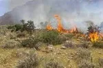 قطعی برق عامل افزایش آتش‌سوزی‌های تهران
