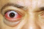 آیا زودتر خوابیدن باعث شادی شما می‌شود؟