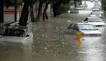 برف و باران در اکثر محور‌ها/ پایان هفته به استان‌های شمالی سفر نکنید