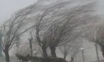 آماده‌باش دستگاه‌های اجرایی استان تهران در مقابل طوفان