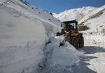 شروع عرضه جدید خودرو در بورس کالا از فردا ۲۴ بهمن