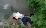جزئیات ضربه مغزی‌شدن ۲ کودک در همدان