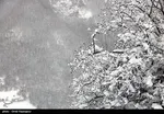 کاهش محسوس دما در بخش‌هایی از کشور از امروز