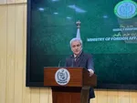گفت‌وگوی عراقچی با وزیر کشور پاکستان در فرودگاه مشهد