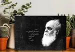 پیکر 