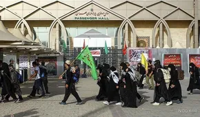 فیلم/ زائر افغانستانی در مورد اربعین حسینی می‌گوید