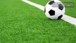 هیچ‌گونه هلی برنی در سلسله صورت نگرفته است