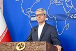 پاسخ نیکزاد به رسایی درباره بررسی موافقتنامه‌های بین‌المللی