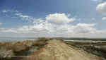 در غیزانیه چه می‌گذرد؟ ۲۵هزار نفر و چند دبه آب!+ عکس و فیلم