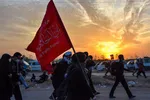 اشتری: ۳ هزار تارنمای متخلف شناسایی شد
