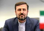 غریب آبادی: دادگاه برای گروهک منافقین وکیل تسخیری تعیین می‌کند