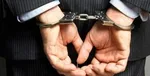 کشف حدود نیم تن گوشت کوسه از یک خودرو در بیرجند