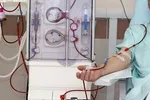 علت کوتاه شدن قد ایرانی ها طی 25 سال گذشته
