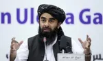 طالبان برای جلوگیری از منکرات استفاده از اینترنت فیبر نوری را ممنوع کرد