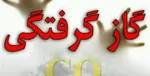 گازگرفتگی، زوجِ تبریزی را به کام مرگ کشاند