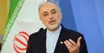 صالحی: ماه آینده بتن‌ریزی فاز دوم نیروگاه بوشهر انجام می‌شود