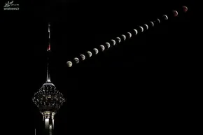 وساطت میمون‌های معبد برای نجات پلنگ از چاه +عکس