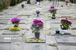کرونای فرانسوی با تست‌ پی‌سی‌آر قابل شناسایی نیست