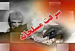 دستگیری 8 متخلف شکار در فارس