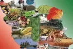 آب پاکی وزارت کار روی دست شرکت‌ها | کارگران بخش خصوصی هم در ایام تشییع تعطیل شدند