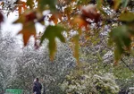 سامانه بارشی جدید در راه ۱۰ استان