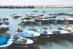 کشف جسد سرنشین عربستانی هواپیما