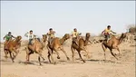 پیام رعب‌آور «قسام» به تل‌آویو/ تهدیدی که حتما عملی خواهد شد