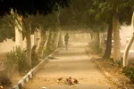 وزش باد و خیزش گرد و خاک در برخی استانها/ رگبار باران در ۳ استان