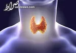 حشره‌های داخل کیسه برنج را چگونه از بین ببریم؟