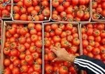 افزایش ۱۴ میلیارد دلاری تجارت با همسایگان