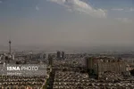 قیمت هر کیلو مرغ ۲۱ هزار تومان شد