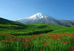 ایران یکی از ۵ قدرت پهپادی جهان است