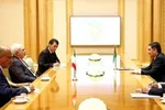 ظریف چرا به هند رفت؟