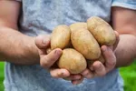 این ۶ علامت یعنی کمبود مواد مغذی در بدن‌تان جدی است