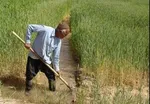 شکاف درآمدی در ایران عمیق تر شد