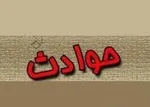 وقتی گردنش را با تبر زدم، دلم به حالش سوخت!