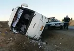 افزایش ازدواج‌های نامتعارف/ 5 ازدواج عجیب و غریب!