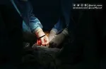 عکس / تصویری از نوجوانی که امروز از اثر جراحات حادثه تروریستی ۱۳ دی کرمان به شهادت رسید