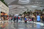 تقابل مجدد ماسک و ترامپ