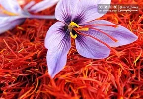 تصاویر / نمایشگاه توانمندی‌های صادراتی ایران - ایران اکسپو