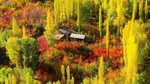 روستایی در استان آذربایجان غربی با ۵۰ شهید