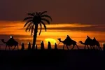 جزییات تشییع و ترحیم آیت‌الله مرتضی تهرانی