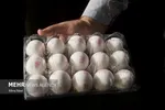 افزایش قیمت کالاهای اساسی؛ پیامد تصمیمات ارزی و بودجه‌ای